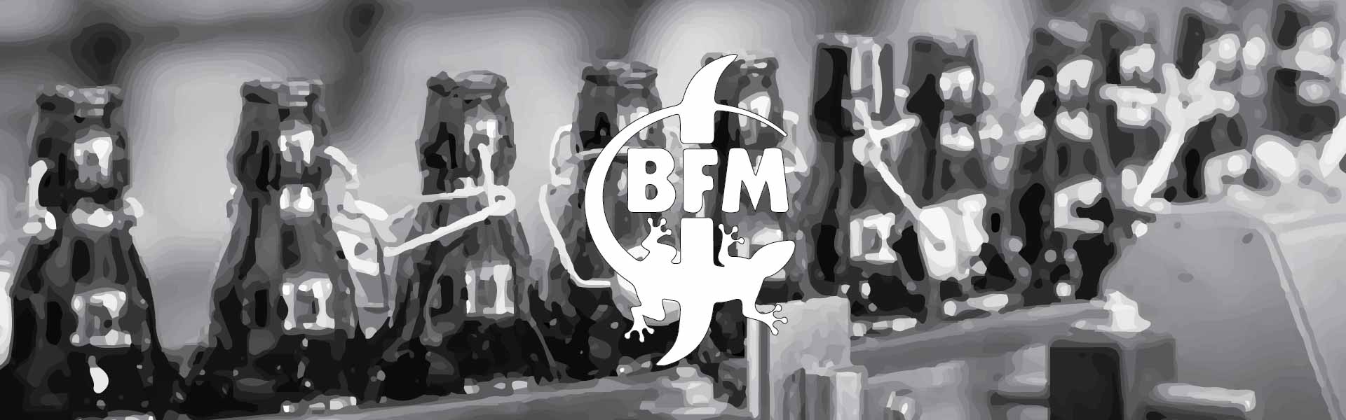 BFM (Brasserie des Franches-Montagnes)