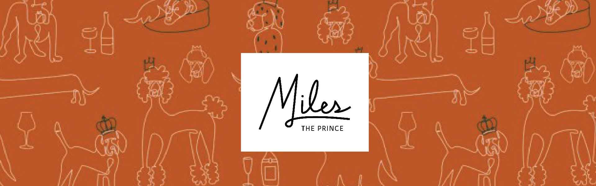 Miles The Prince