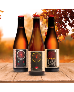 Hanabi Lager Mixed 12-Pack (Autumn '26 Edition)