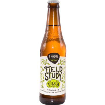 Field Study IPA