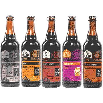 Bottle Logic 5-pack