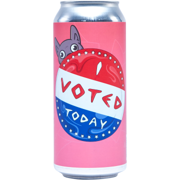I Voted Today