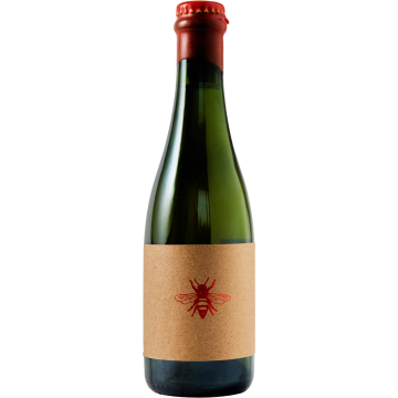 Pompatus