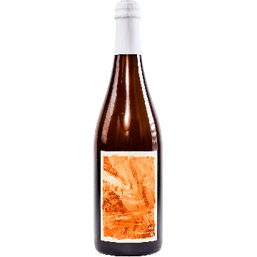 Salud (2023)