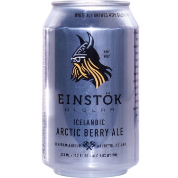 Einst?K Icelandic Arctic Berry Ale