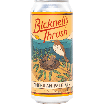 Bicknell’s Thrush