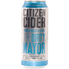 Citizen Dirty Mayor